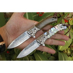 Abalone Handle VG10 Damascus Steel Firefox Outdoor Self Defense Pocket Camping EDC Hand Tool Tactical Survival Folding Knife UD405418